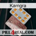 Kamgra new13